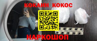 шишки Новодвинск