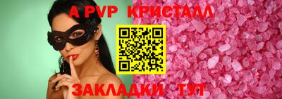 шишки Новодвинск