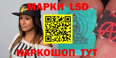 шишки Новодвинск