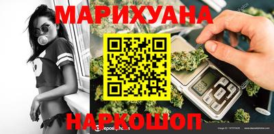 шишки Новодвинск