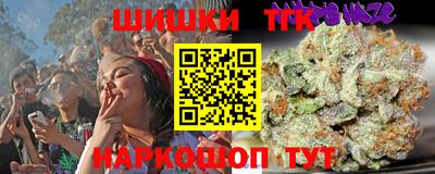 шишки Новодвинск