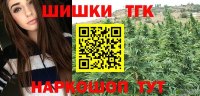 шишки Новодвинск