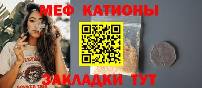 шишки Новодвинск